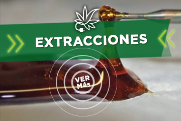andinotech-marihuana-extracciones